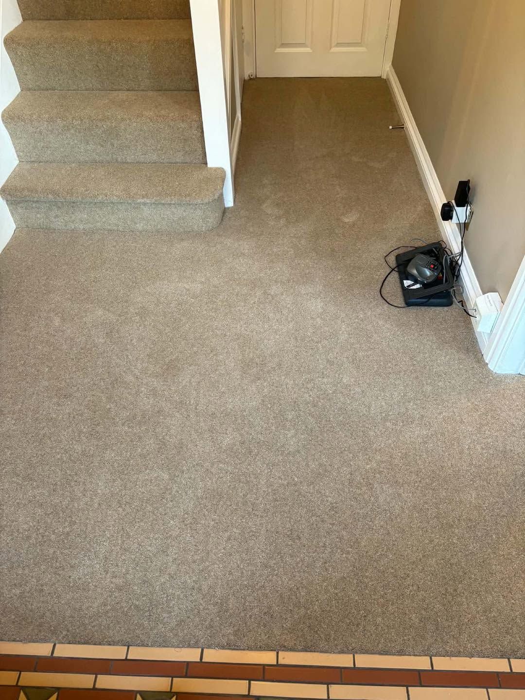 Beige carpet fitted through a hallway and up the stairs